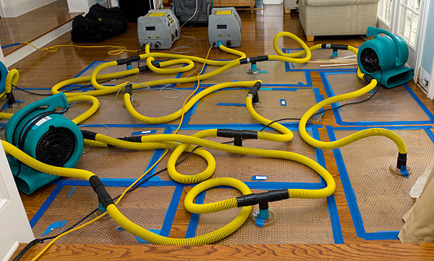Professional Sewage Cleanup technician working in Hales Corners, WI